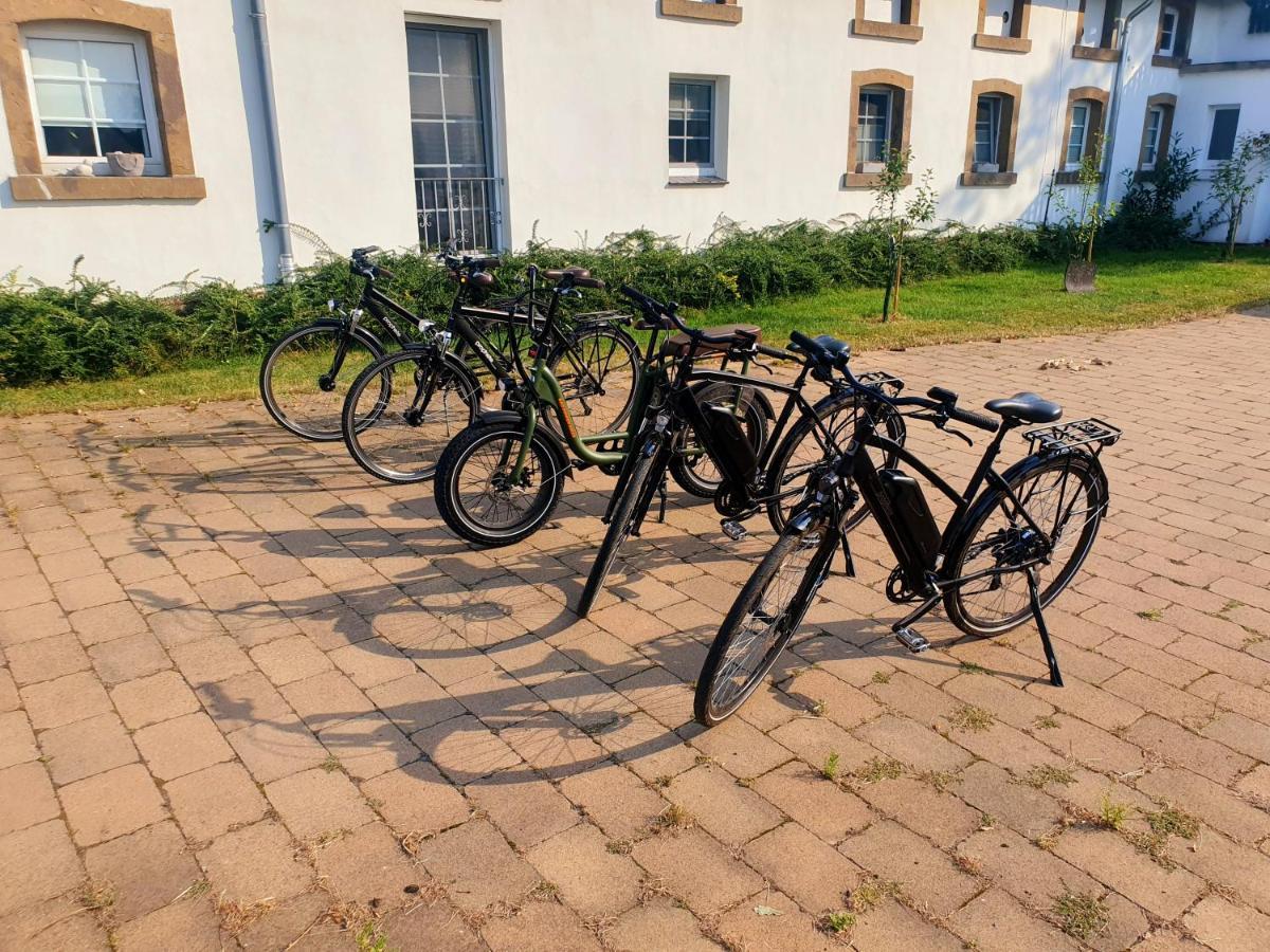 Grosse Bauernhaus Ferienwohnungen Bis 100Qm Mit E-Bike-Verleih Bad Rothenfelde Eksteriør bilde